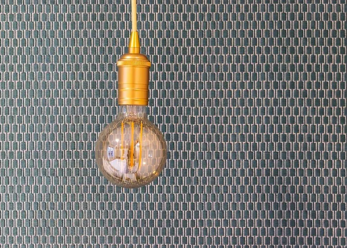 El Toison De Oro 22 Garaje Gratis *